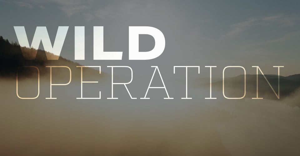 Wild Operation