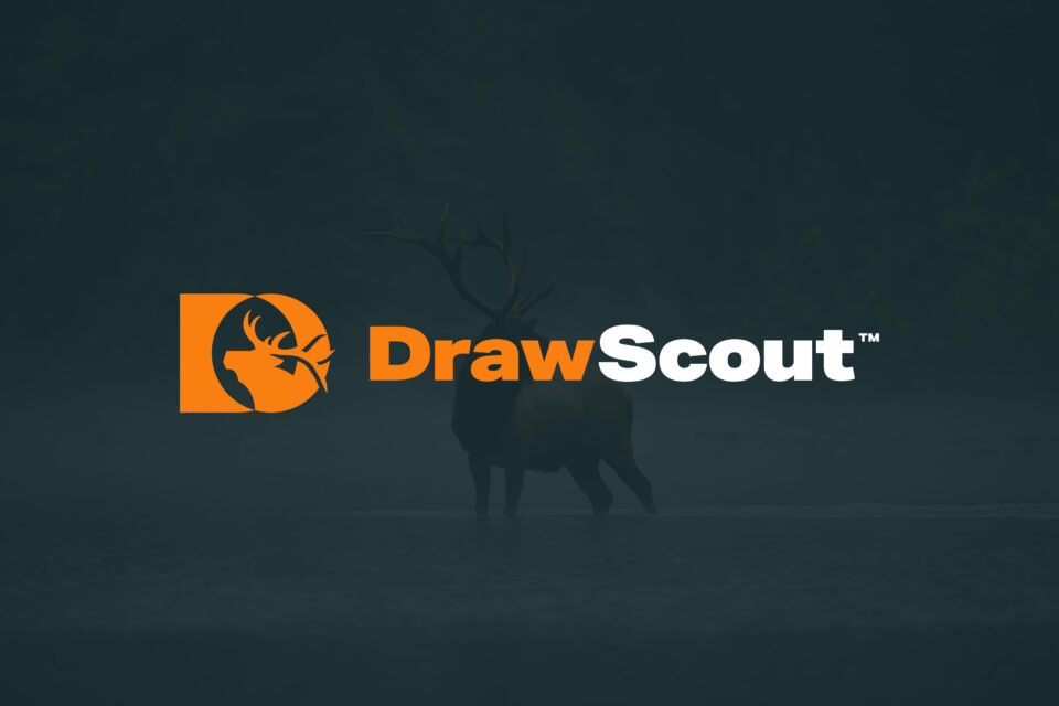 DrawScout